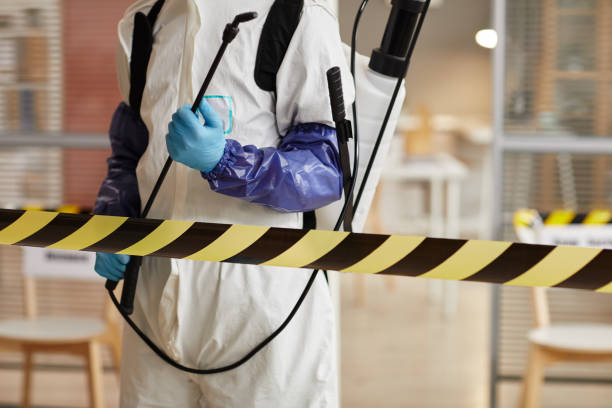 Professional Sewage Cleanup technician working in Ostrander, OH